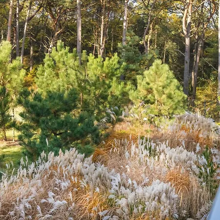 Διαμέρισμα Wypoczynek Rogowo (Gryfice)