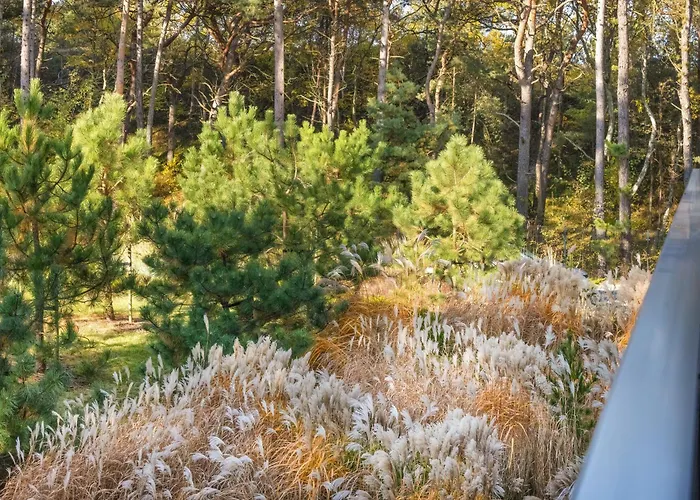 דירה Wypoczynek רוגובו